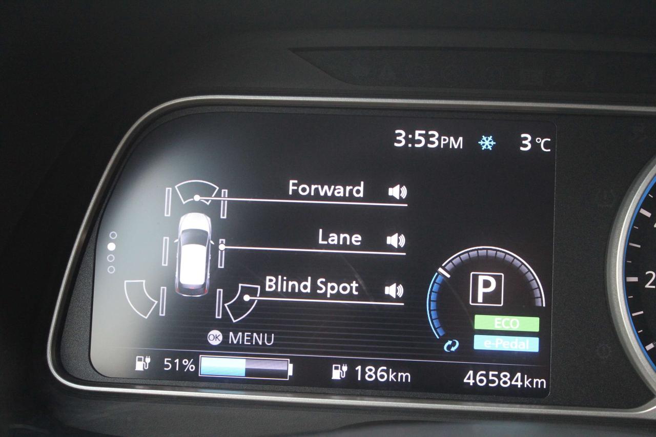 2019 Nissan Leaf S PLUS 62 kWh, One Owner, No Accidents Photo