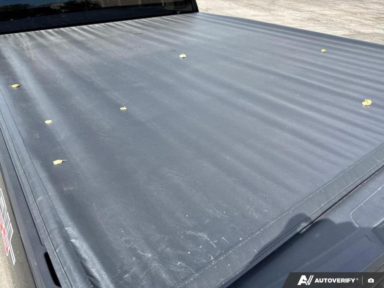 2022 Chevrolet Silverado 1500 LTD LT Trail Boss BACKUP CAM   BLUETOOTH   KEYLESS ENT Photo