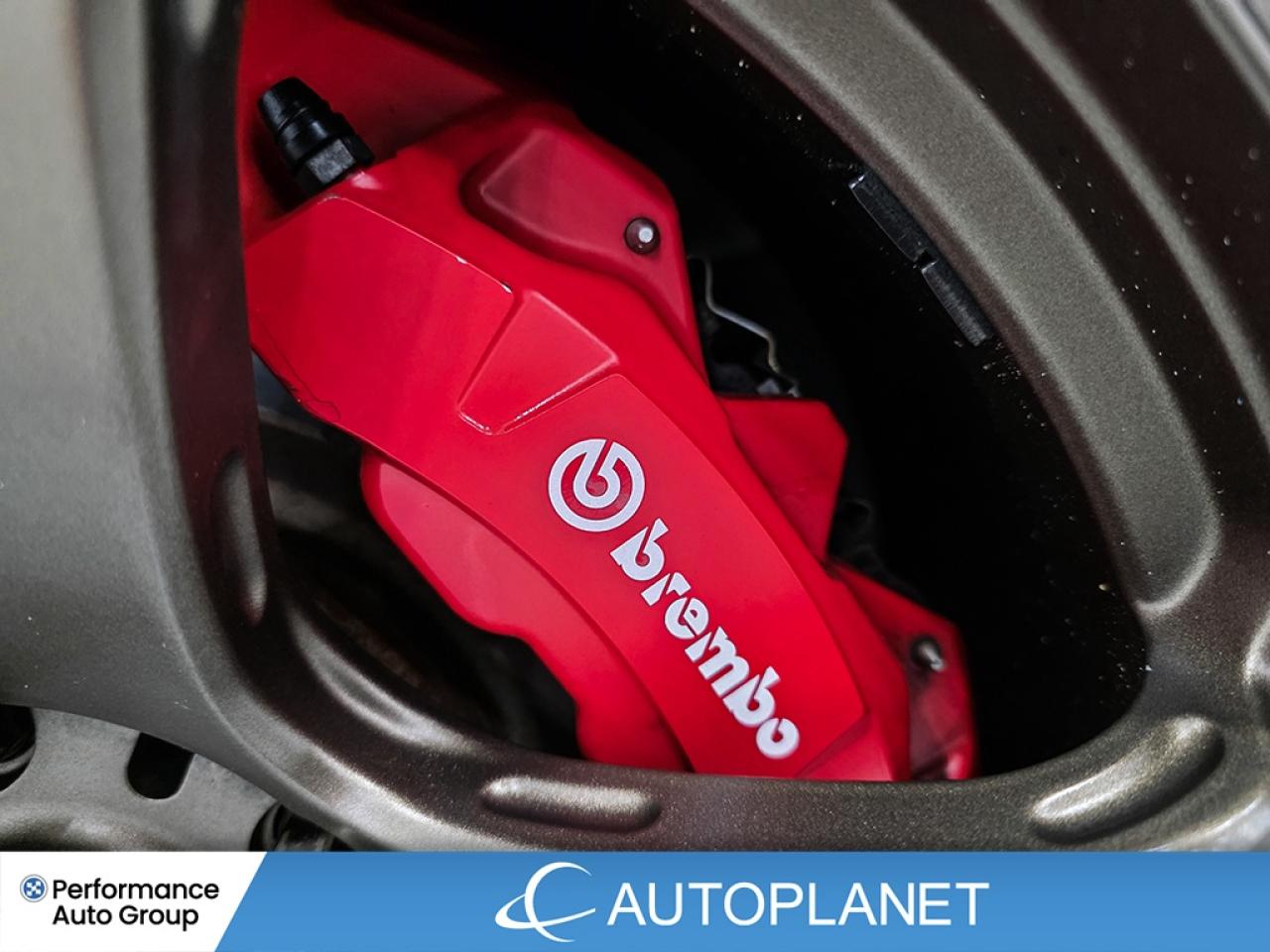 2018 Honda Civic Type R , Turbo, Navi, Back Up Cam, Recaro Seats, 306 HP Photo