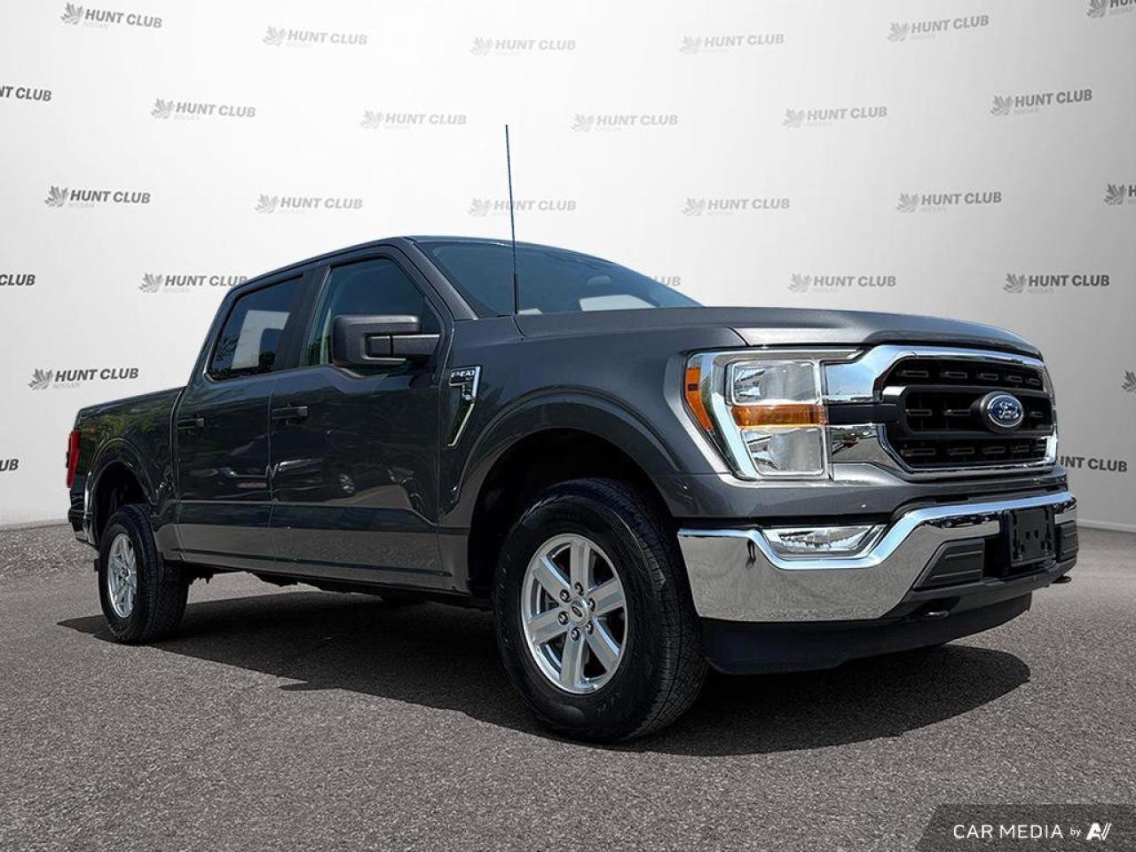2022 Ford F-150 XLT Photo