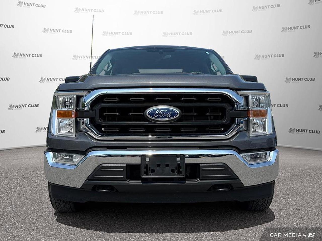 2022 Ford F-150 XLT Photo