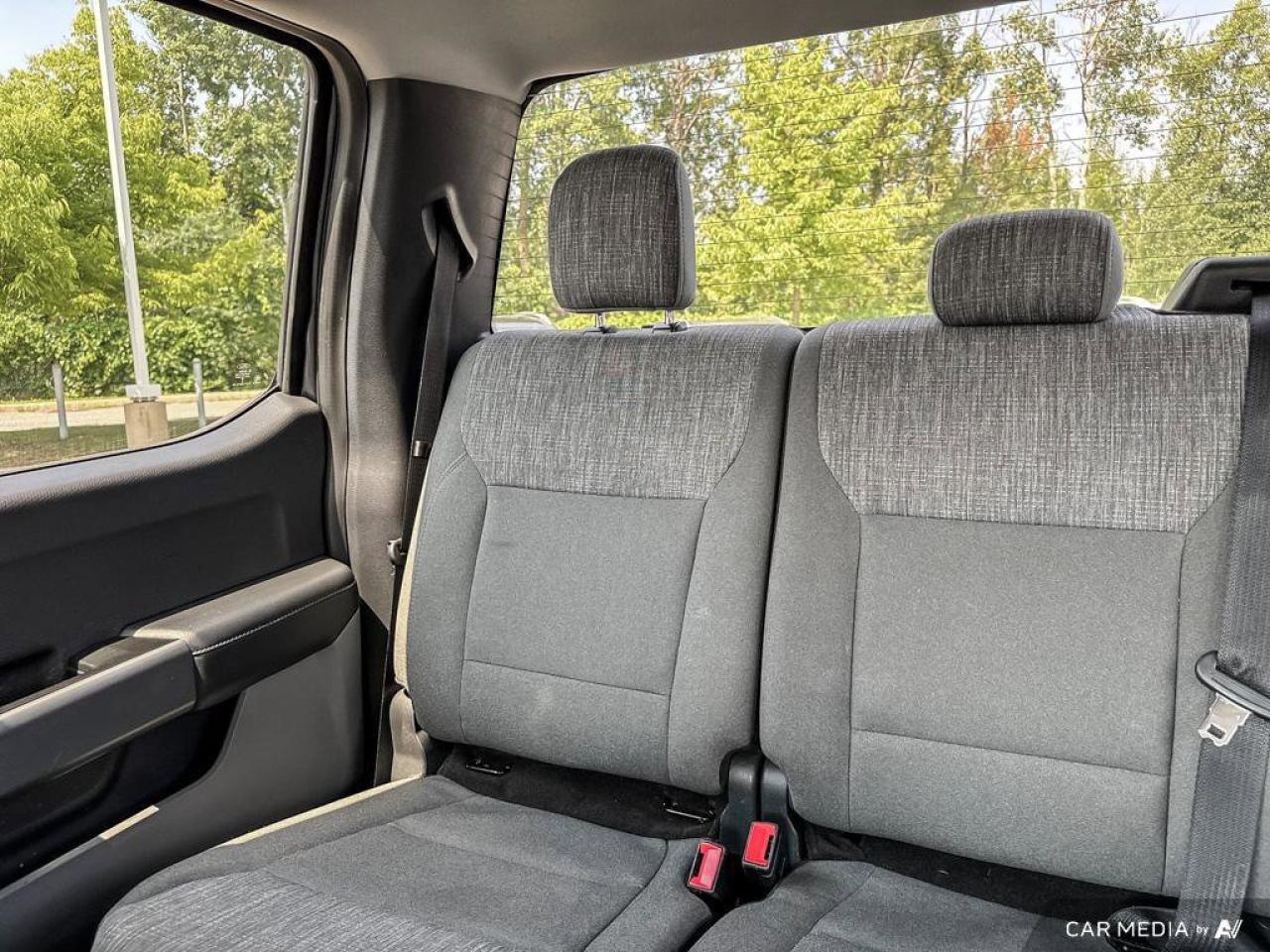 2022 Ford F-150 XLT Photo