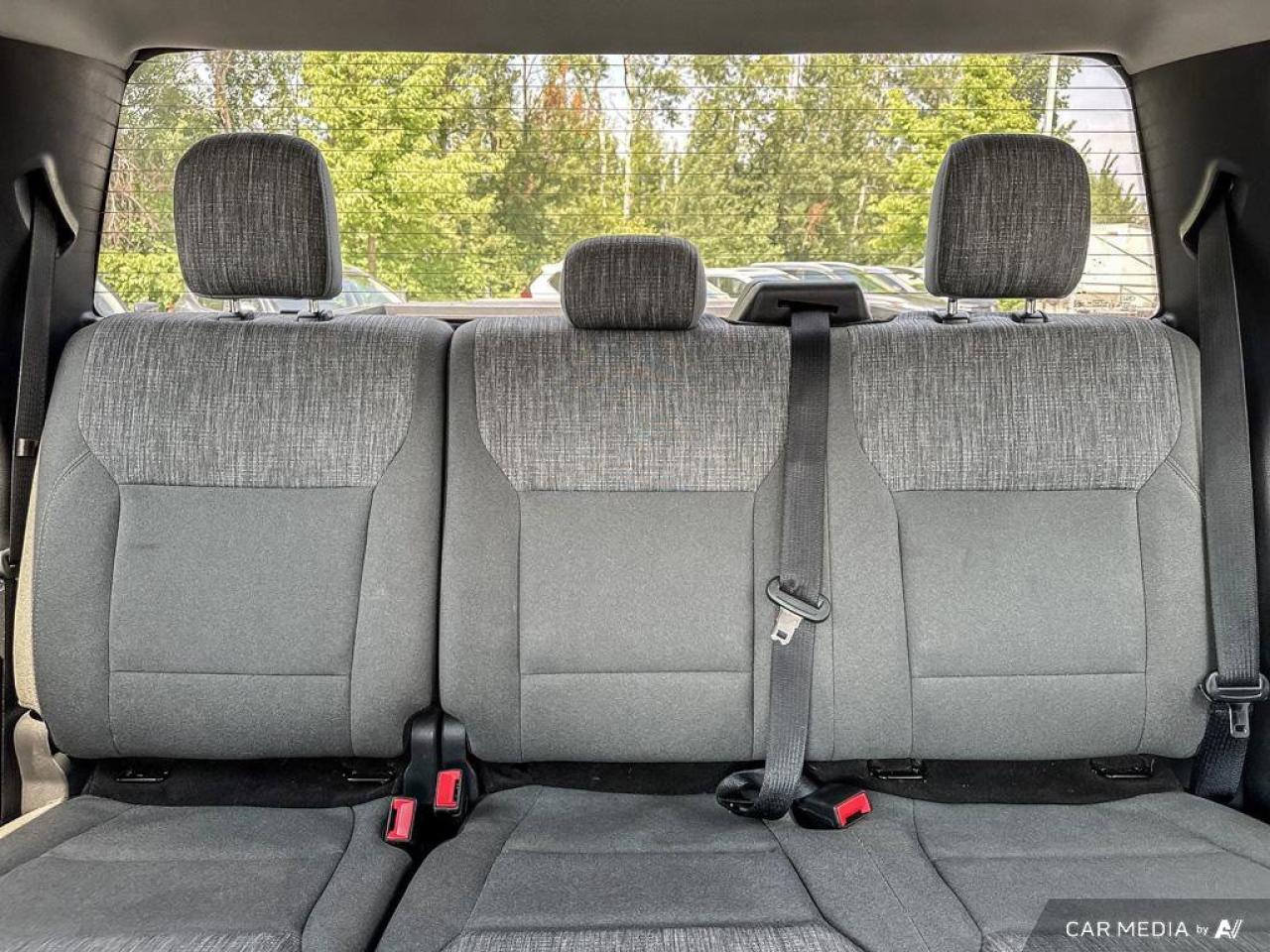 2022 Ford F-150 XLT Photo