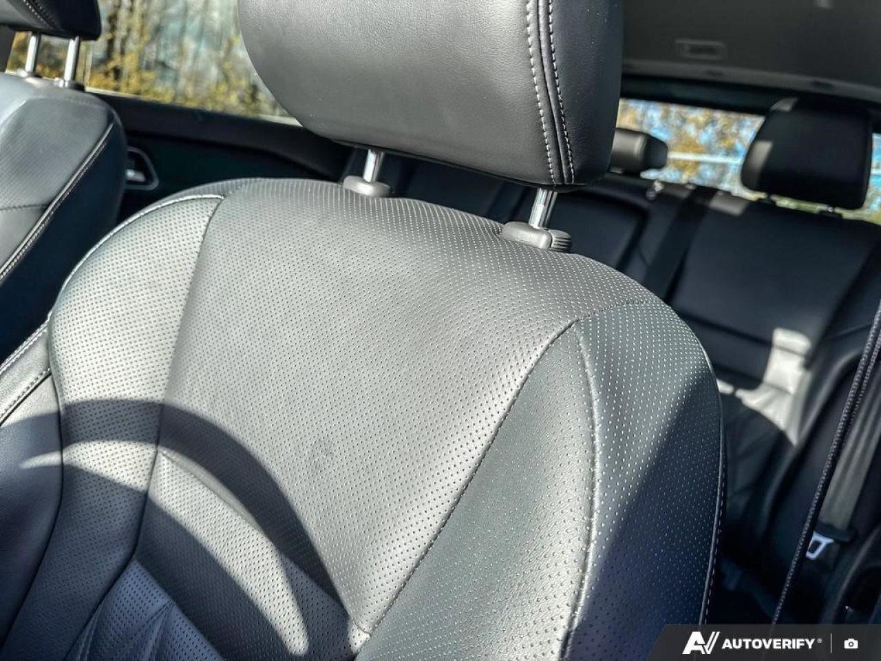 2023 Nissan Rogue Platinum Photo