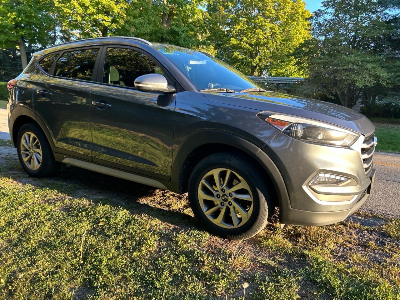 2017 Hyundai Tucson FWD 4dr 2.0L Premium Photo2