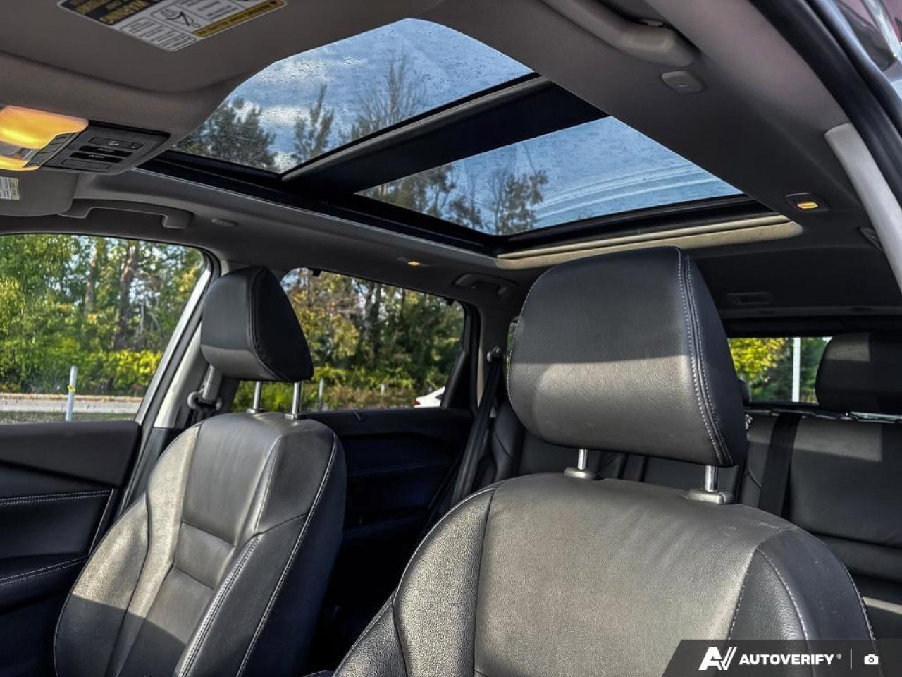 2023 Nissan Rogue SL Photo