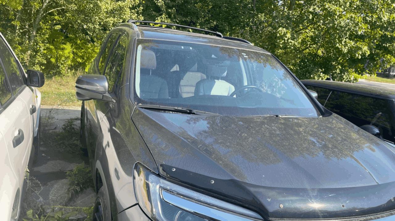 2019 Honda Pilot EX-L Navi AWD Photo3