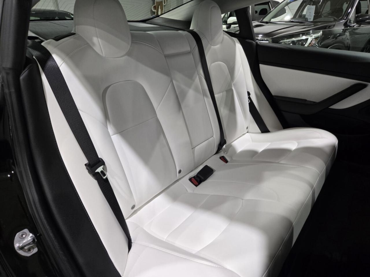 2020 Tesla Model 3 Standard Plus One Owner No Accidents Rear Spoiler Photo