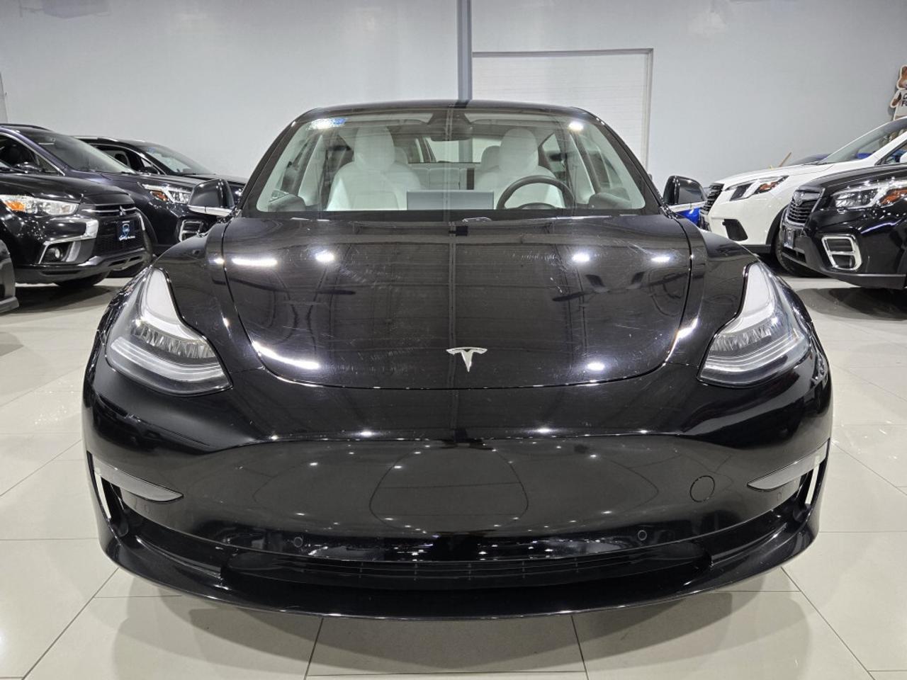 2020 Tesla Model 3 Standard Plus One Owner No Accidents Rear Spoiler Photo2