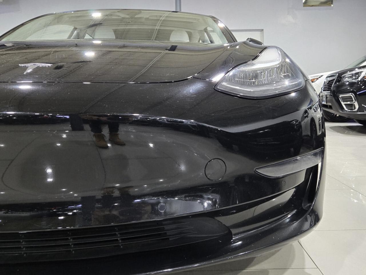 2020 Tesla Model 3 Standard Plus One Owner No Accidents Rear Spoiler Photo