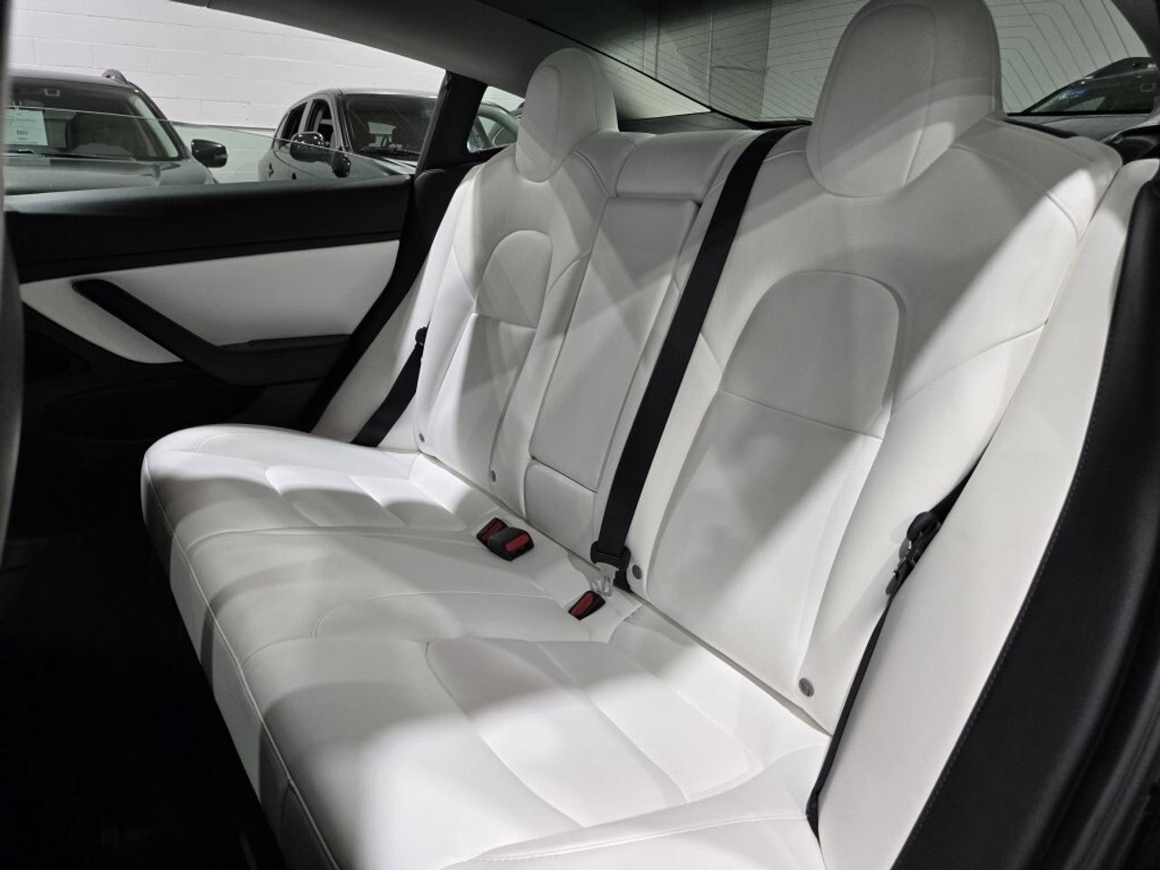 2020 Tesla Model 3 Standard Plus One Owner No Accidents Rear Spoiler Photo