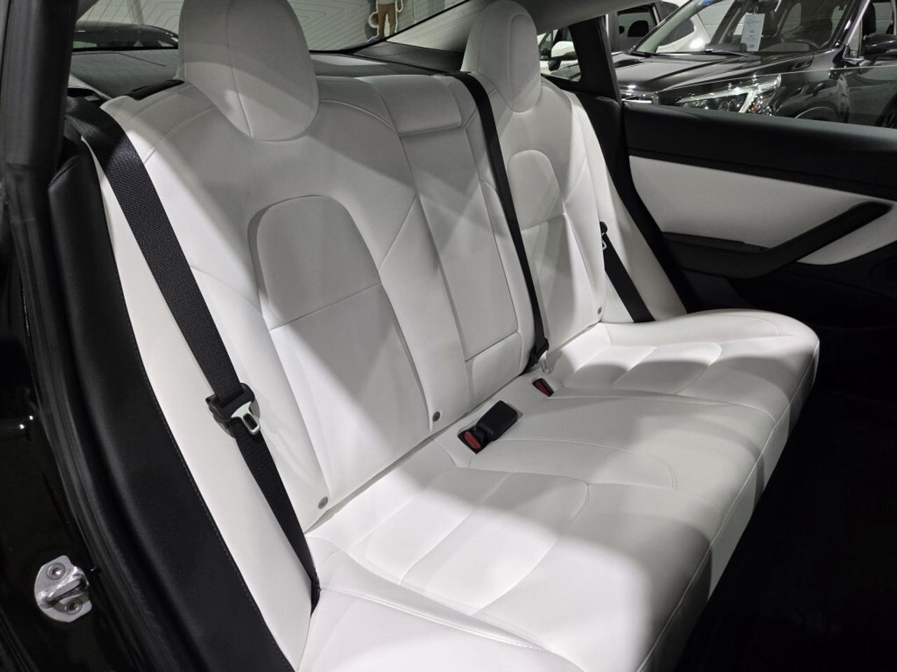 2020 Tesla Model 3 Standard Plus One Owner No Accidents Rear Spoiler Photo