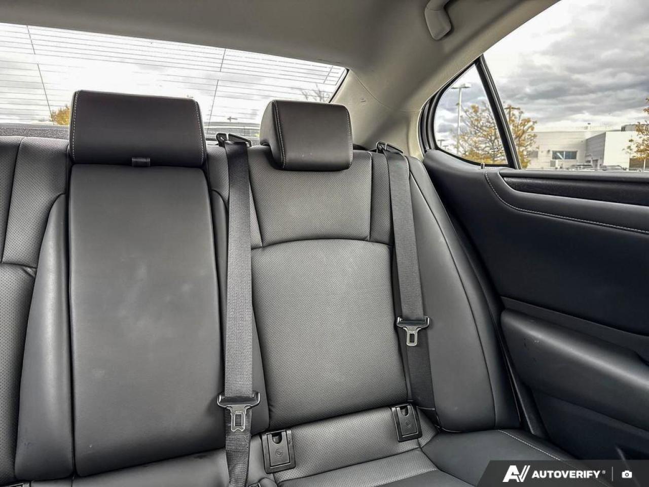 2023 Lexus ES ES 350 Photo