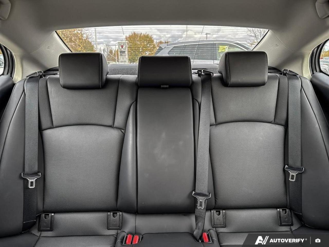 2023 Lexus ES ES 350 Photo