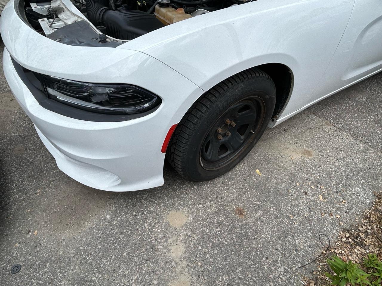2017 Dodge Charger 4DR SDN POLICE RWD Photo