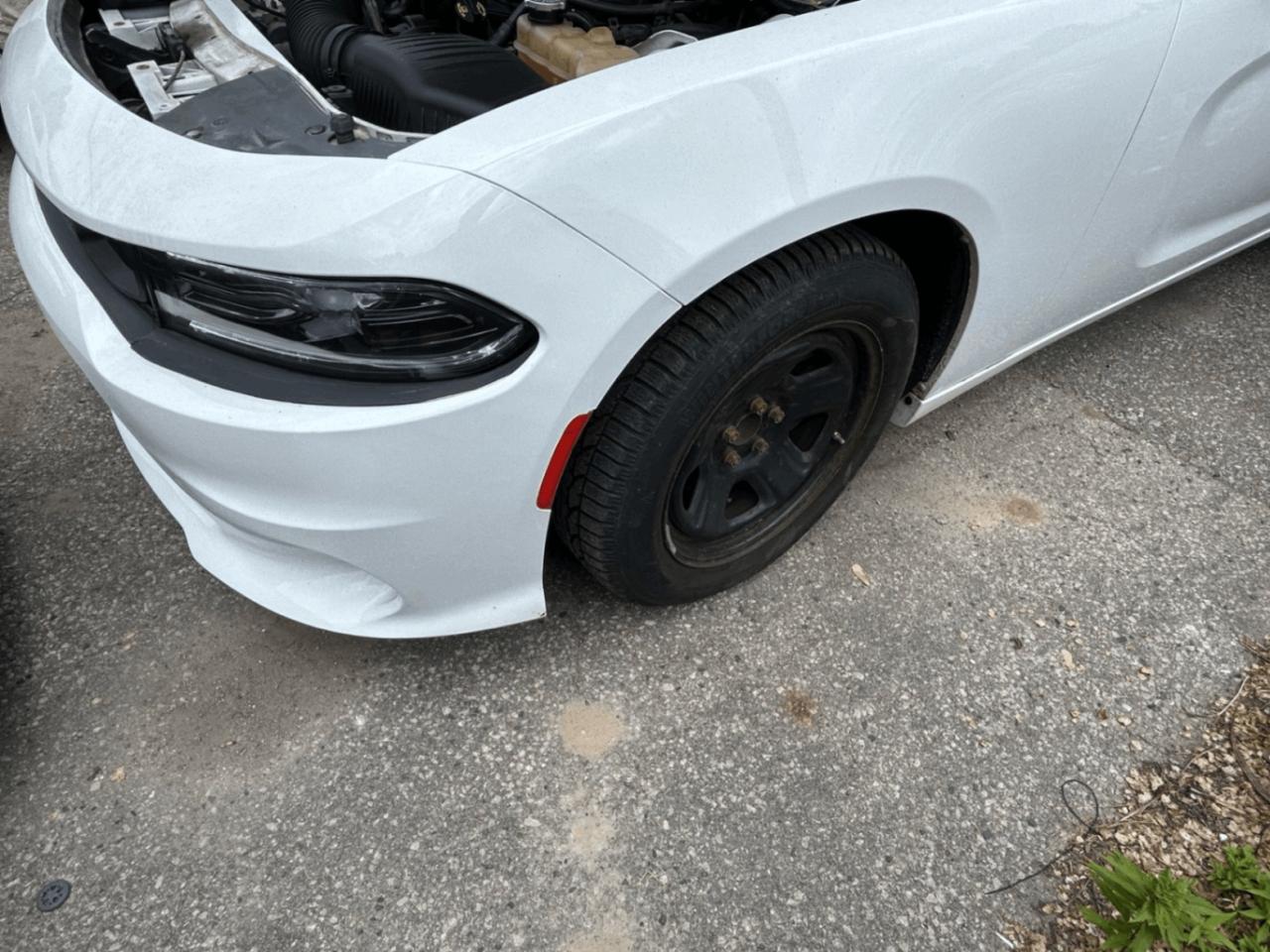 2017 Dodge Charger 4DR SDN POLICE RWD Photo