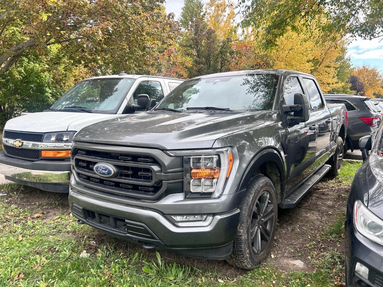 2021 Ford F-150 XL 4WD SuperCrew 5.5' Box Photo