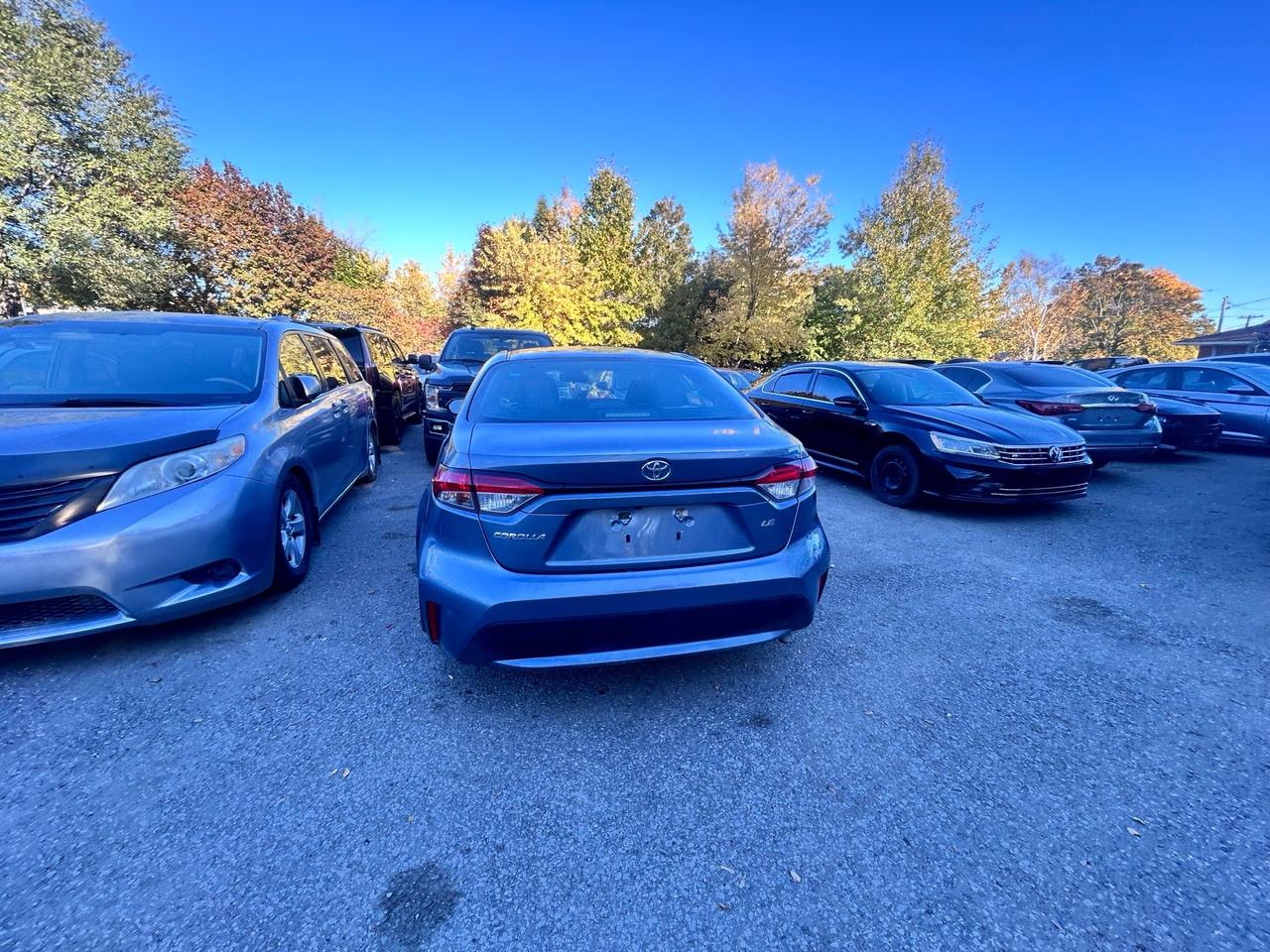 2020 Toyota Corolla LE CVT Photo
