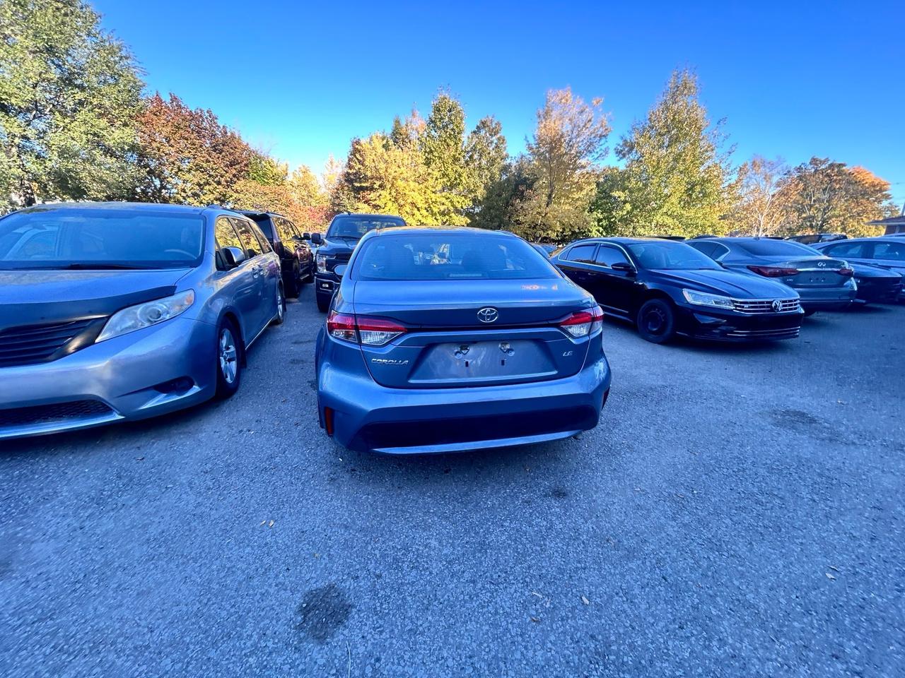 2020 Toyota Corolla LE CVT Photo