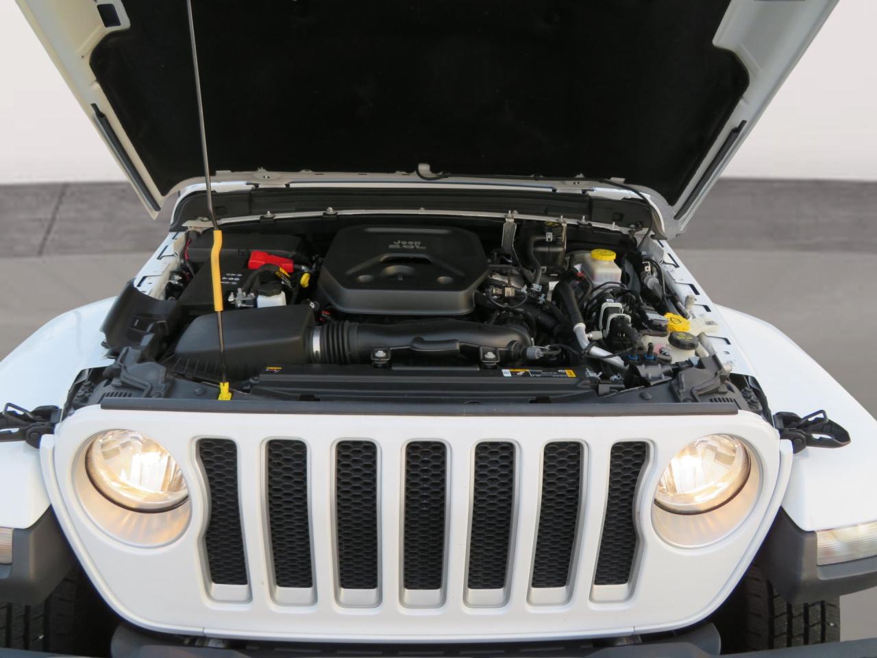 2021 Jeep Wrangler Unlimited Sahara 4X4 Photo