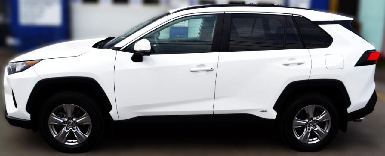 2024 Toyota RAV4 Hybrid HYBRID LE - ALL WHEEL DRIVE Photo