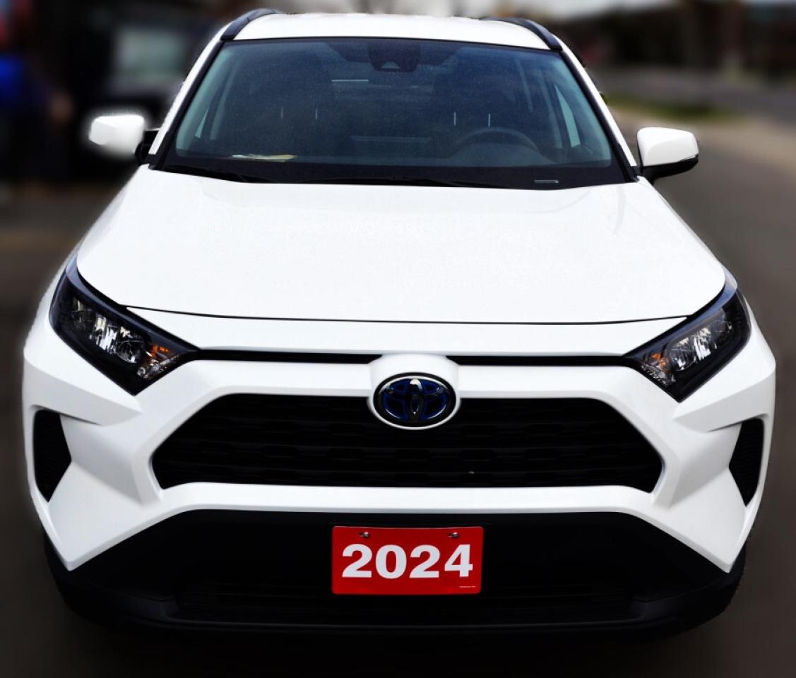 2024 Toyota RAV4 Hybrid HYBRID LE - ALL WHEEL DRIVE Photo