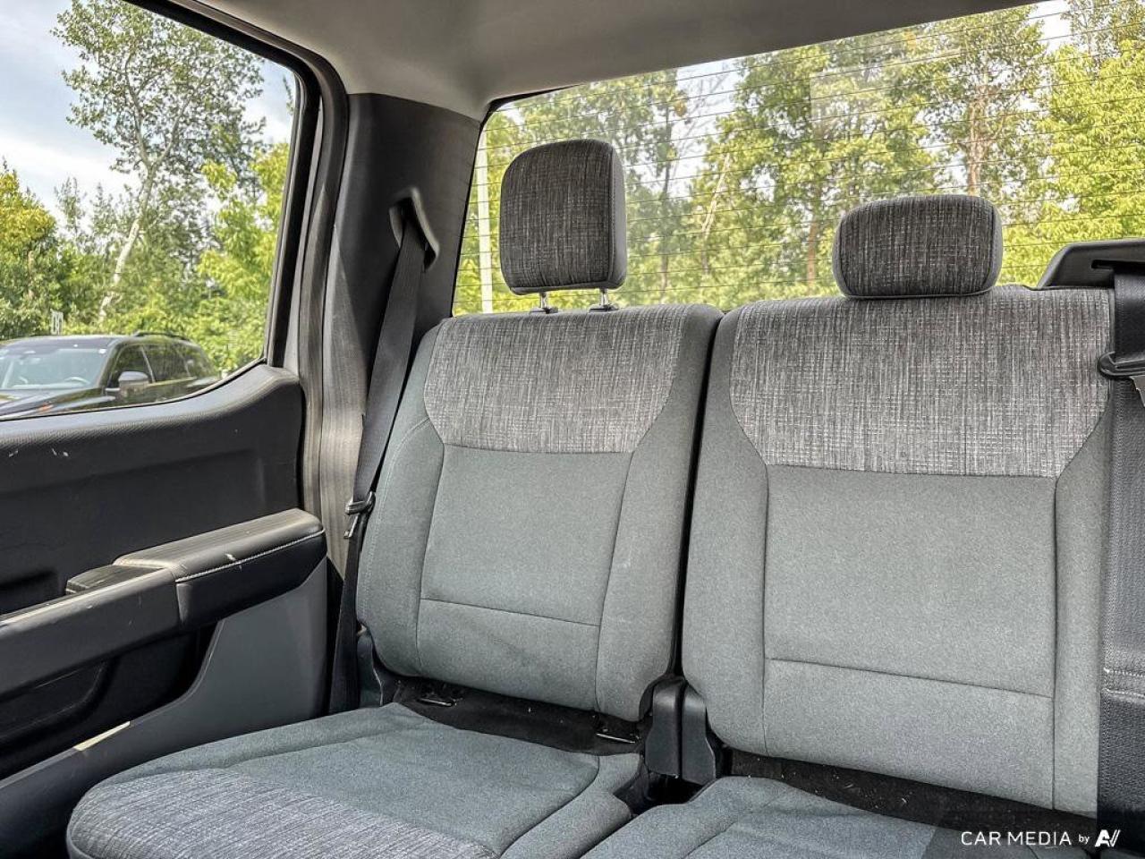 2023 Ford F-150 XLT Photo