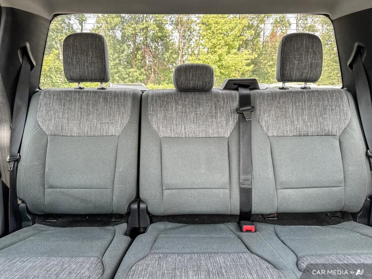 2023 Ford F-150 XLT Photo