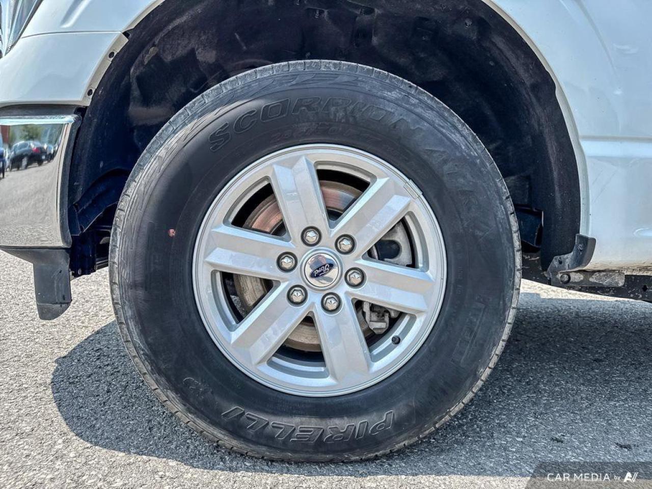 2023 Ford F-150 XLT Photo