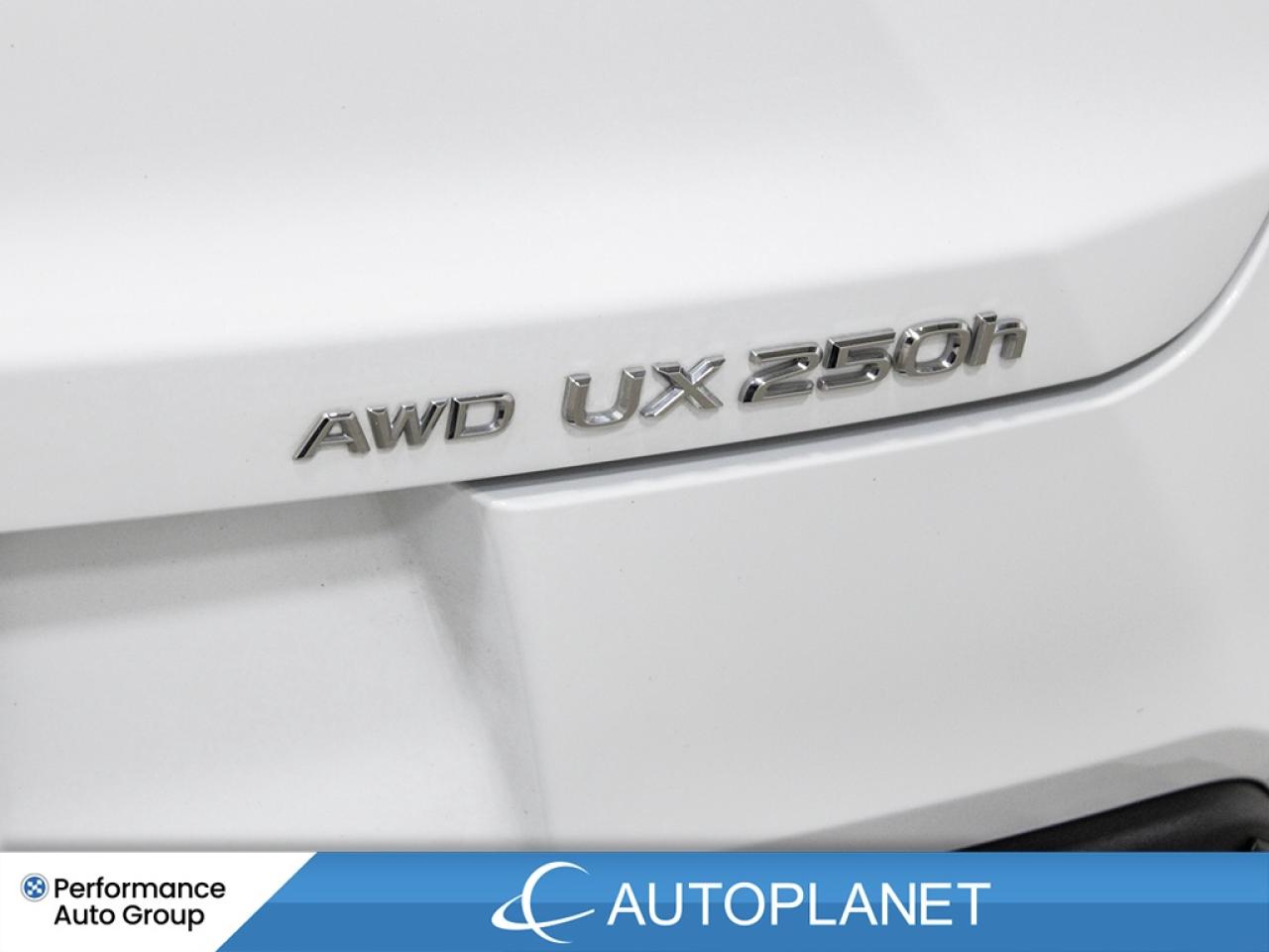 2024 Lexus UX 250H AWD, Hybrid, F-Sport 1 Pkg, Back Up Cam, Sunroof! Photo