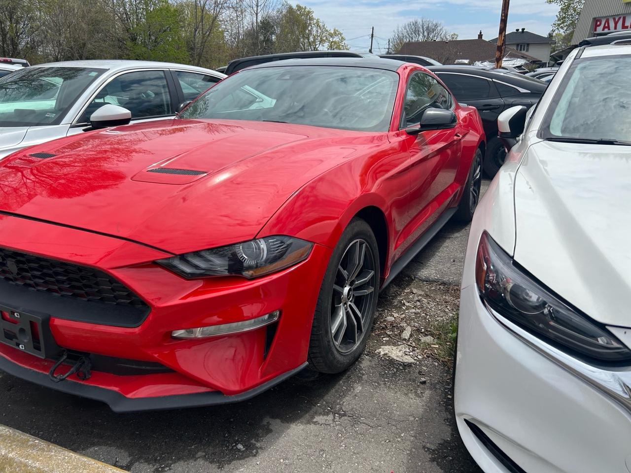 2021 Ford Mustang EcoBoost Fastback Photo1