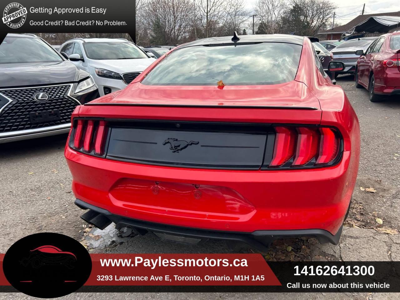 2021 Ford Mustang EcoBoost Fastback Photo