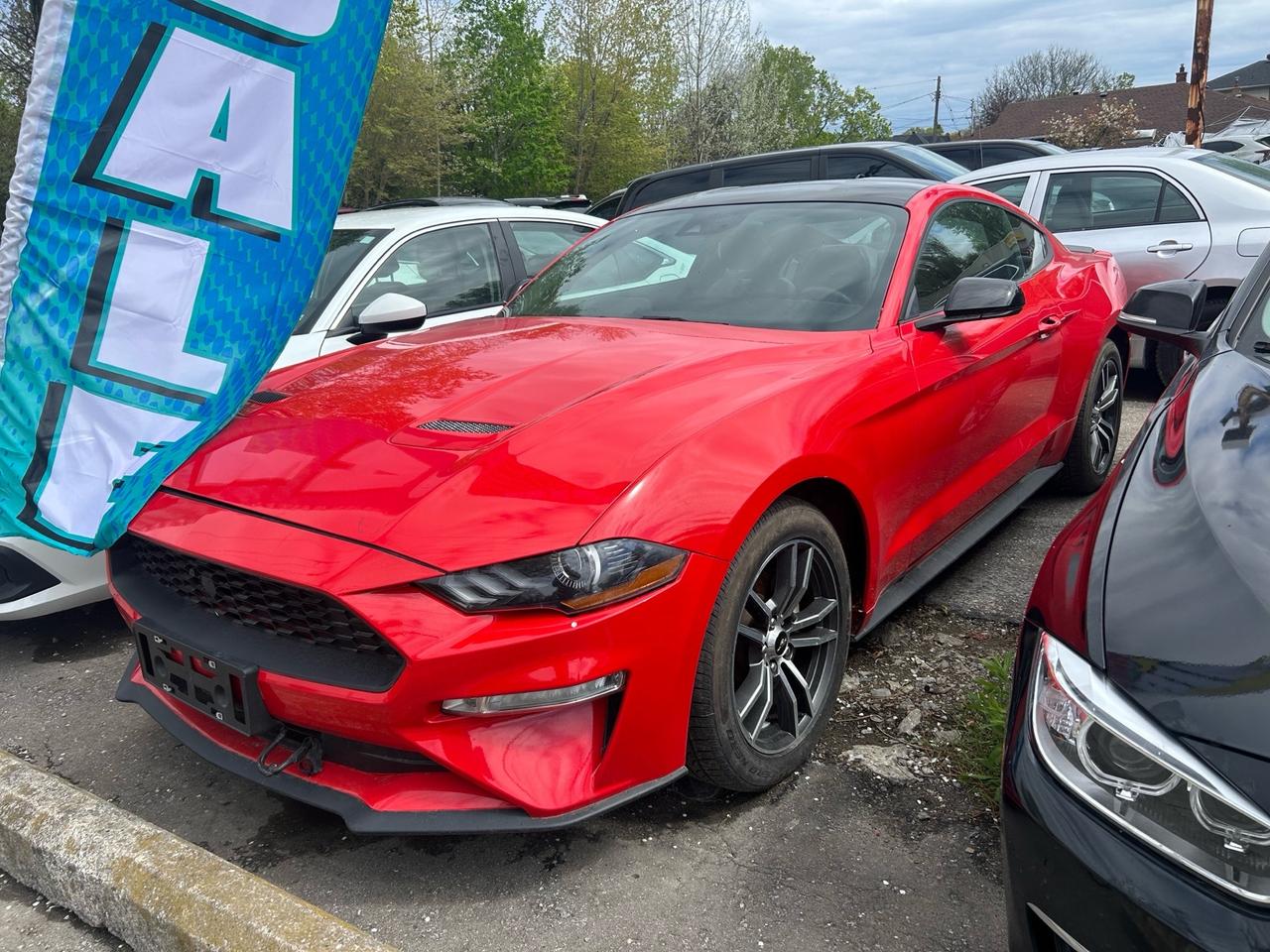 2021 Ford Mustang EcoBoost Fastback Photo0