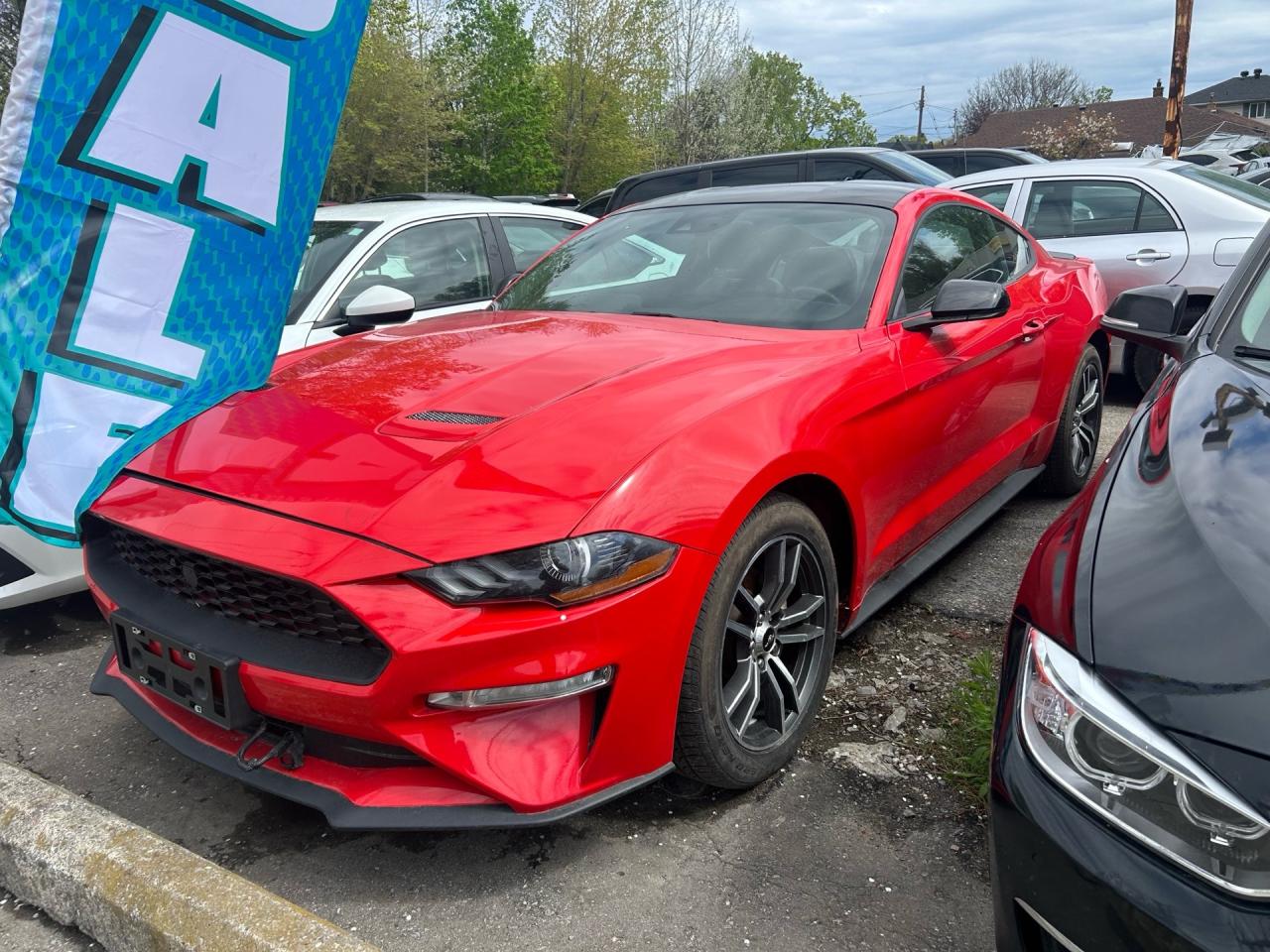 2021 Ford Mustang EcoBoost Fastback Photo