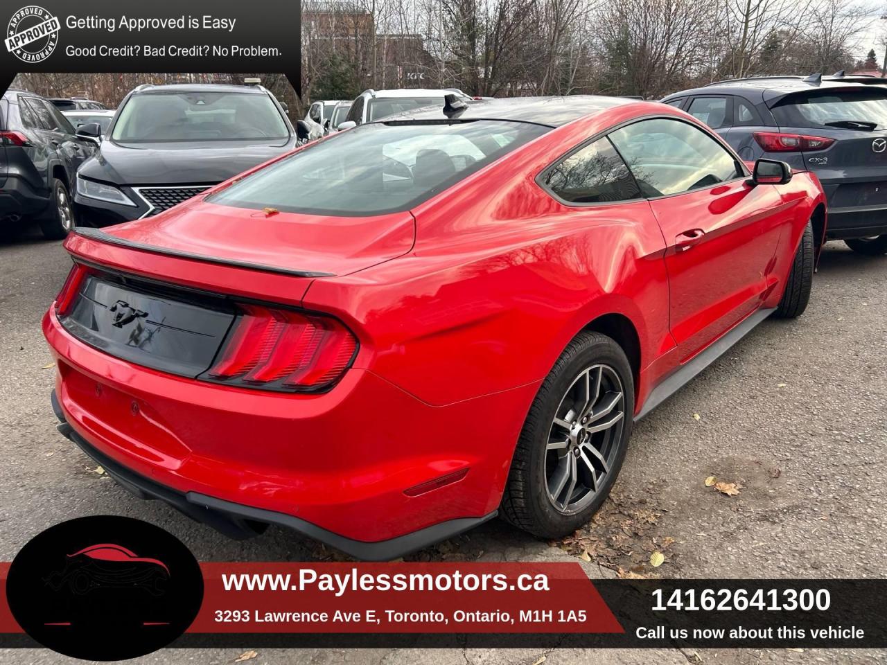 2021 Ford Mustang EcoBoost Fastback Photo