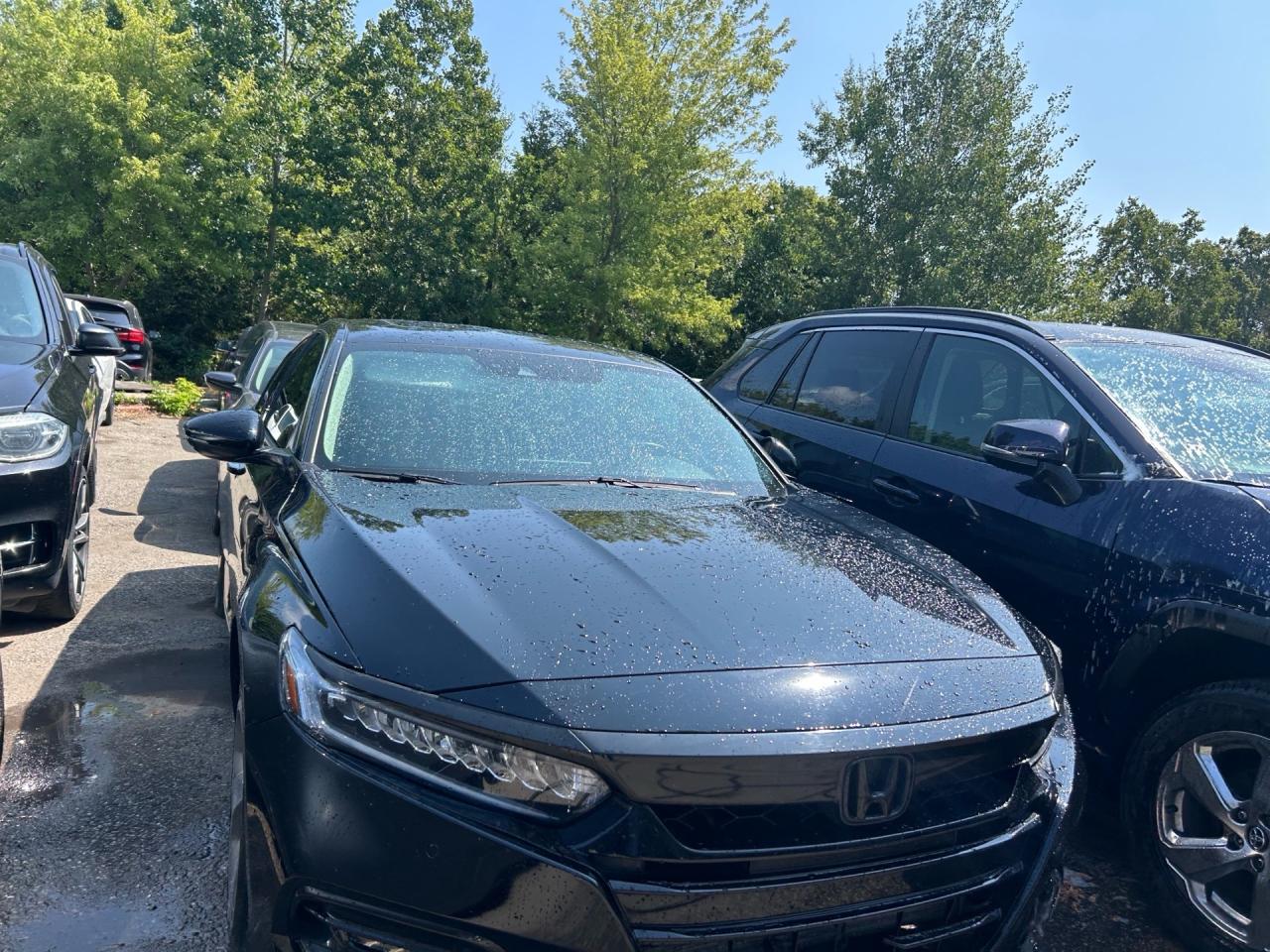 2019 Honda Accord Touring CVT Photo