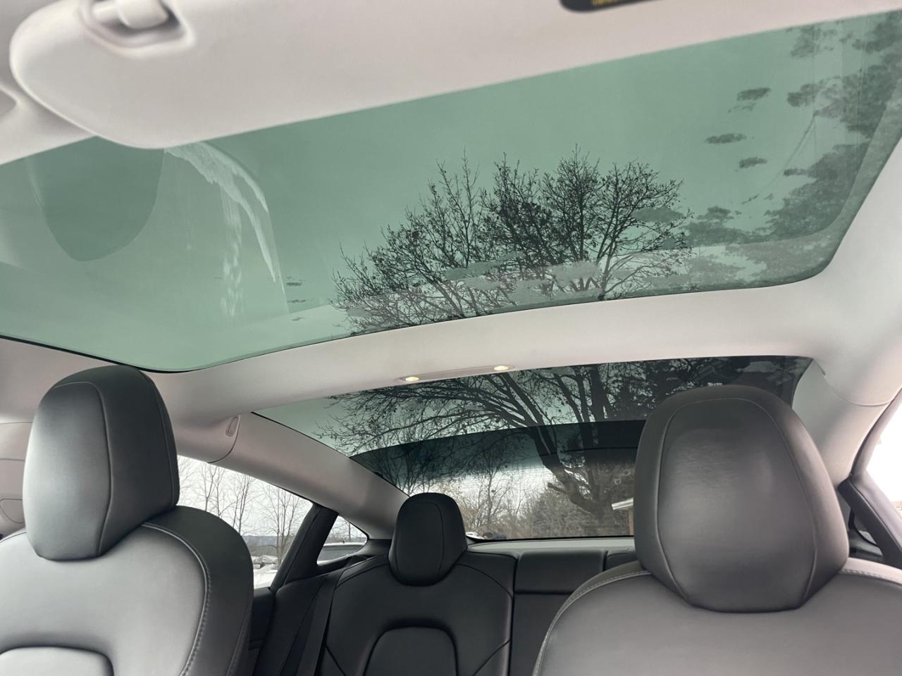 2019 Tesla Model 3 Long Range AWD *Certified Photo