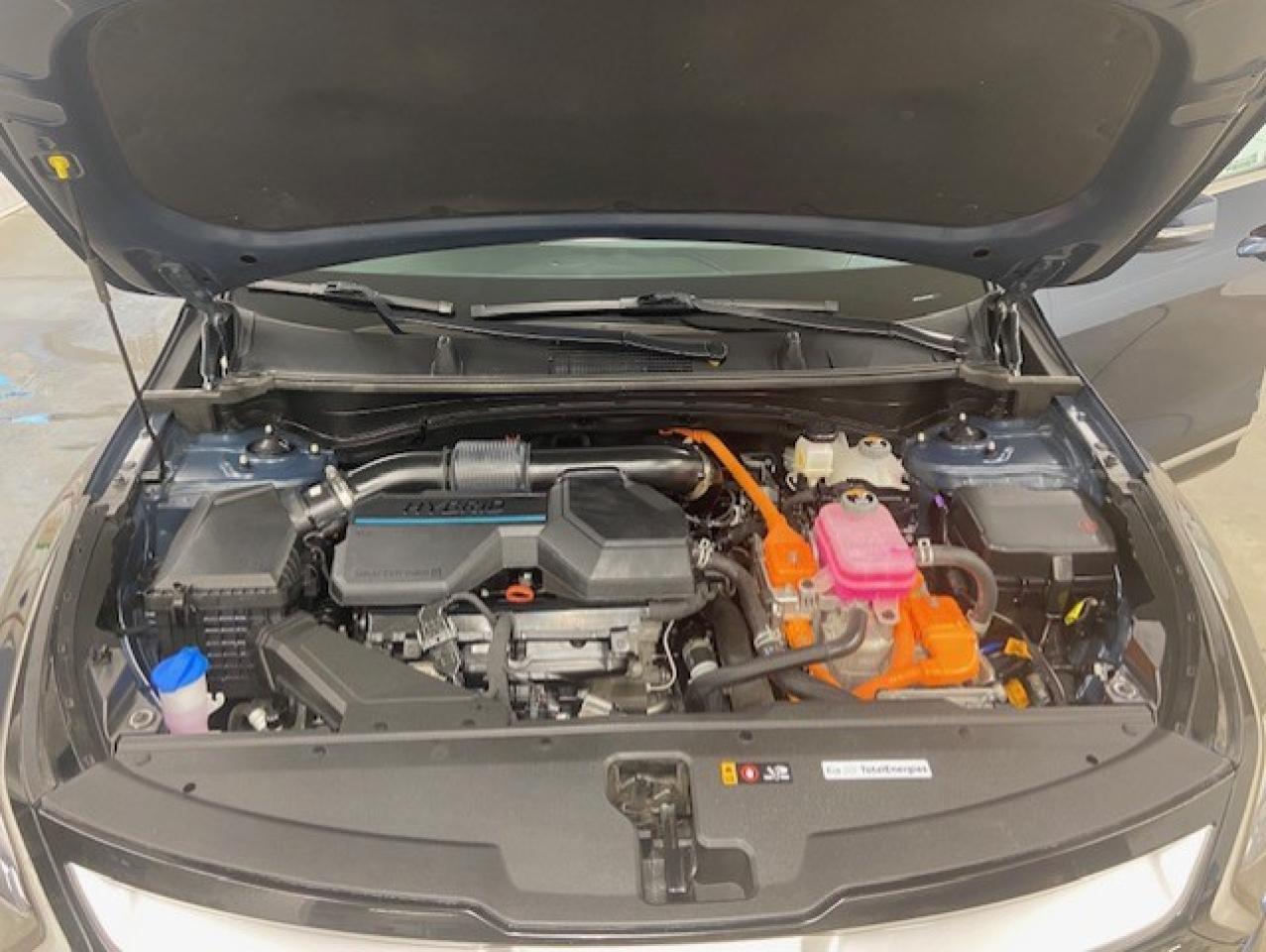 2023 Kia Sportage EX Photo