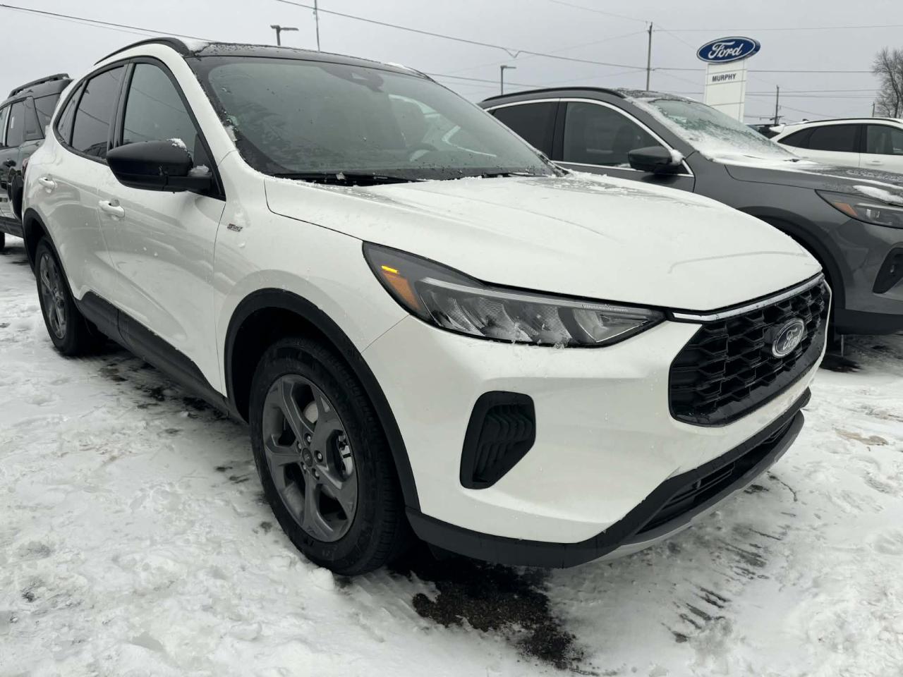 2025 Ford Escape ST-Line Photo