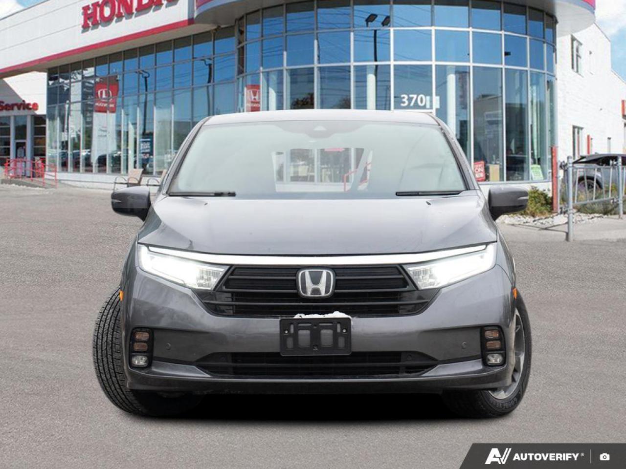 2024 Honda Odyssey  Photo