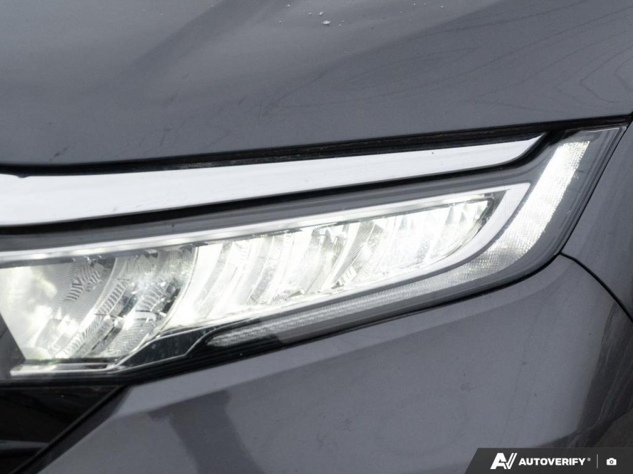 2024 Honda Odyssey  Photo