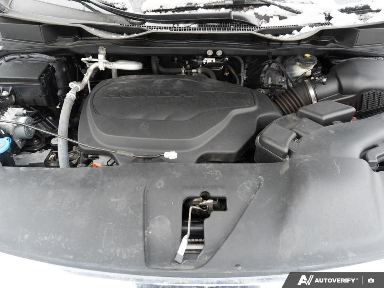 2024 Honda Odyssey  Photo