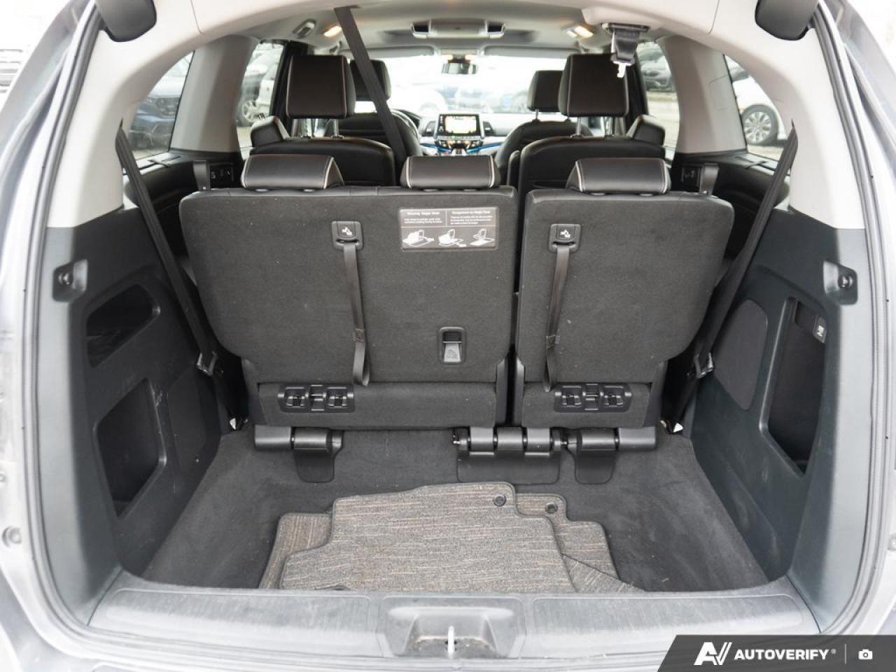 2024 Honda Odyssey  Photo