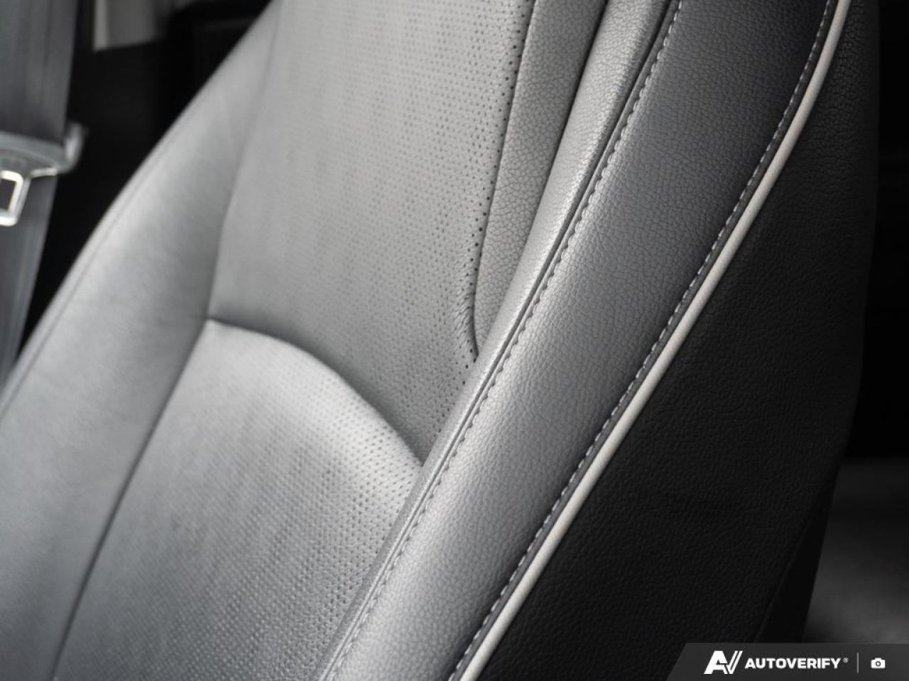 2024 Honda Odyssey  Photo