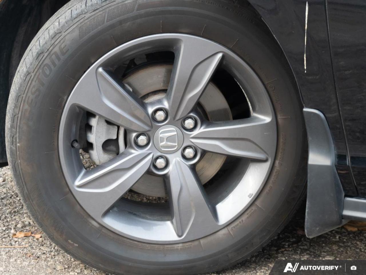 2023 Honda Odyssey  Photo