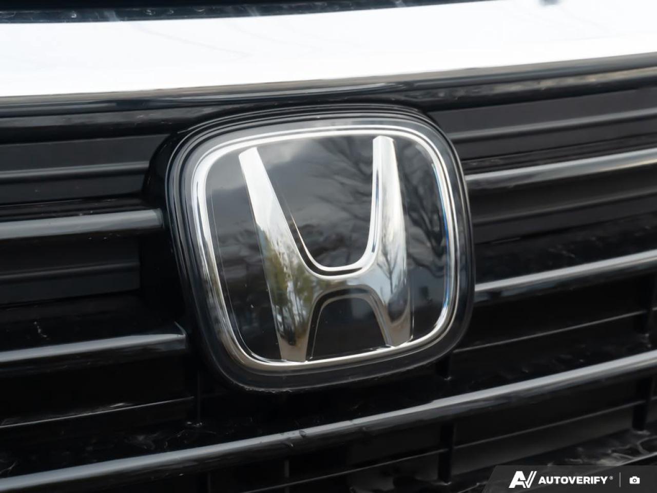 2023 Honda Odyssey  Photo