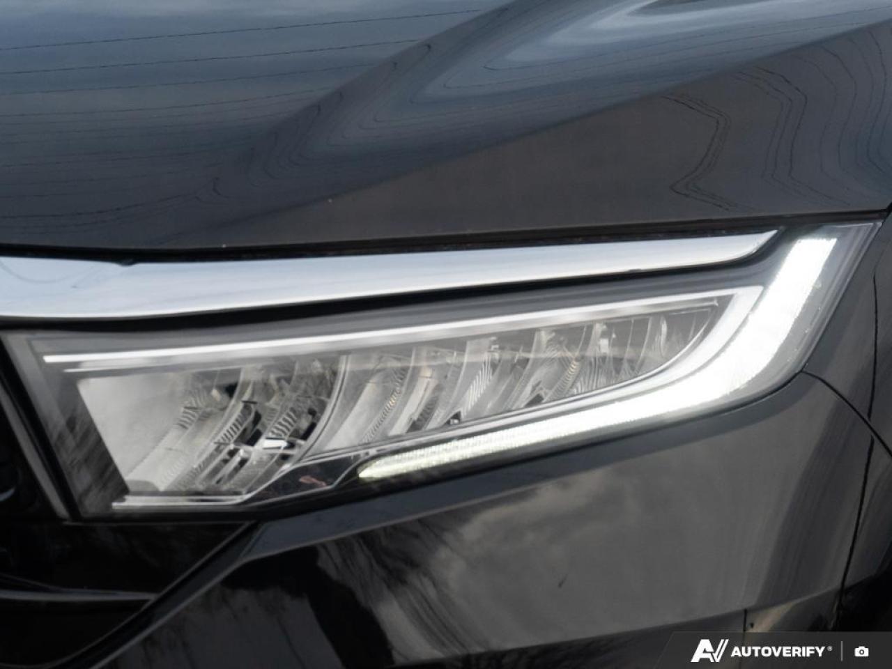 2023 Honda Odyssey  Photo