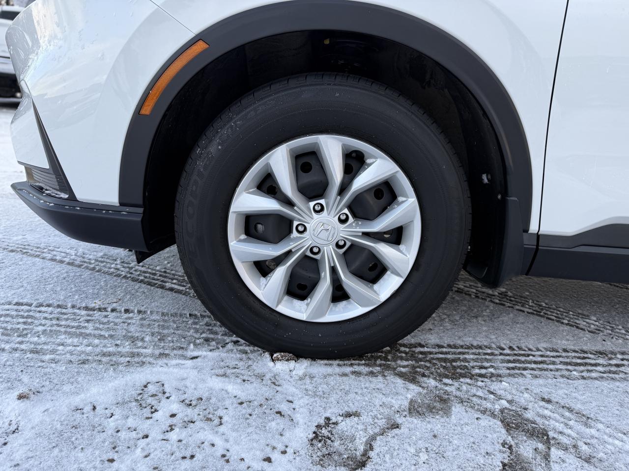2025 Honda CR-V LX AWD | BLUETOOTH |  BLIND SPOT |  REMOTE START Photo