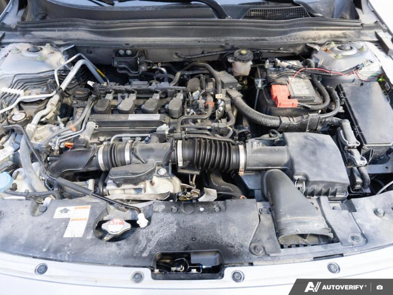 2019 Honda Accord SEDAN Photo