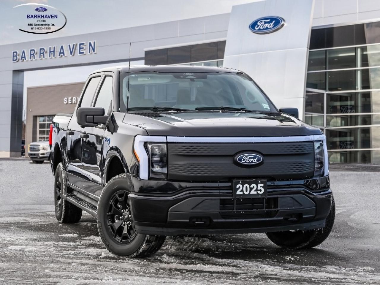 2025 Ford F-150 Lightning XLT Photo0